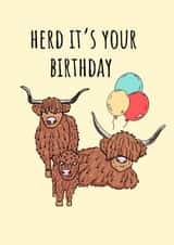 Cute Birthday Card – Highland Cows – Herd It’s Your Birthday created by Calina Ho