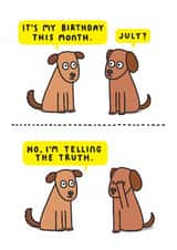 Funny July Birthday Card - July? No I'm Telling The Truth. created by mungo and shoddy