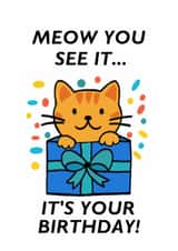Meow You See It… Birthday Surprise! created by Punnycarddesigns