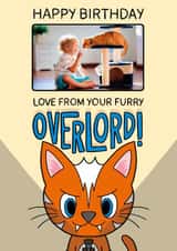 Personalised Birthday Photo Card created by TeePee Creations - Funny Birthday Card - Furry Overlord - From The Cat