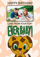 Personalised Birthday Photo Card created by TeePee Creations - Cute Birthday Card - Forever Furbaby - From The Dog