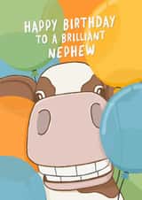 Cute Birthday Card - For Nephew - Cow created by Fliss Muir