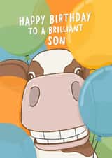 Cute Birthday Card - For Son - Cow created by Fliss Muir