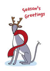 Cute Christmas Card - Season's Greetings - Dog created by Liz Pengilley