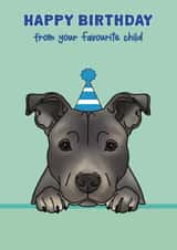 Cute Birthday Card - Staffy - Staffordshire Bull Terrier created by Choo Choo 