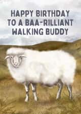Cute Birthday Card - Walking Buddy - Sheep created by Hello Fridays Studio