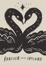 Arty Anniversary Card - Love Birds created by Lauren Marina