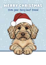 Cute Christmas Card - Cockapoo - Furry Best Friend created by Choo Choo 