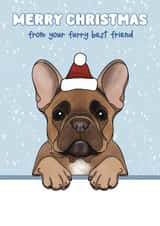 Cute Christmas Card - Frend Bulldog - Furry Best Friend created by Choo Choo