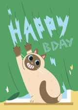 Funny Naughty Cat Birthday Card - Relatable Humour created by Stormy Knight