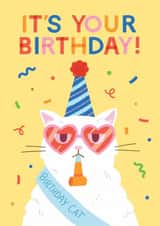 Funny Grumpy Cat Birthday Card - Party created by Stormy Knight