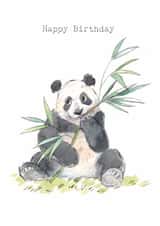 Cute Birthday Card - Panda - Bamboo created by Paper Shed Design