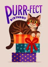 Cute Birthday Card - Cat - Presents created by Folio | Ian Owen