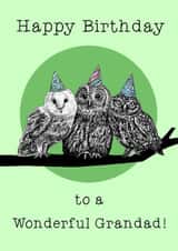 Cute Birthday Card - For Grandad - Owls created by Beth Higgins Art