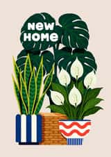 Classic New Home Card - House Plants created by Folio | Ian Owen