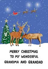 Traditional Christmas Card - Wonderful Grandma and Grandad - For Grandparents created by HCD Illustration