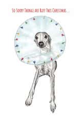 Cute Christmas dog card for loved one - whippet dog - sorry things are ruff created by sarahcoxartwork