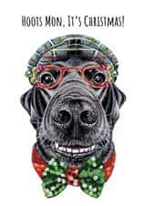 Funny Christmas dog card for friend or loved one - Scottish Labrador - Hoots Mon created by sarahcoxartwork