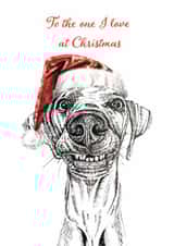 Cute Christmas dog card for a loved one - Weimaraner dog - to the one I love created by sarahcoxartwork