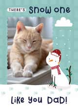 Personalised Christmas Photo Card created by Joanne Hawker - Cute Christmas Photo Card - From The Cat - Snow one like you - Pun - Cat snowman