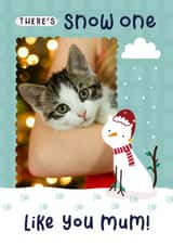 Personalised Christmas Photo Card created by Joanne Hawker - Cute Christmas Photo Card - For Cat Mum - Snow one like you - Pun - From The Cat