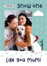 Personalised Christmas Photo Card created by Joanne Hawker - Cute Christmas Photo Card - For Dog Mum - Snow one like you - Pun - From The Dog