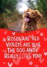 Personalised Valentines Day Photo Card created by Nicola Watson - Cute Valentine's Day/Anniversary Card - Poem - The Dog And I Love You