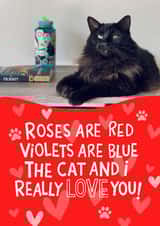 Personalised Valentines Day Photo Card created by Nicola Watson - Cute Valentine's Day/Anniversary Card - Poem - The Cat And I Love You
