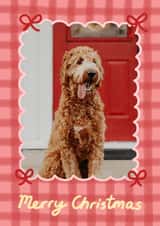Personalised Christmas Photo Card created by Wren & Wilson - Classic Christmas Card - Bows - Gingham Design