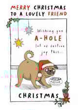 Funny Christmas Card - For A Friend - Wishing You A-Hole Lot Of Festive Joy created by Dandelion Stationery