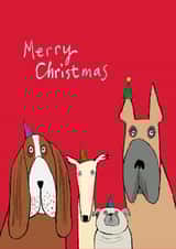 Funny Christmas Card - Party Dogs - Long Faces created by Paper Bird