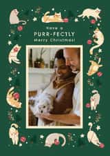 Personalised Christmas Photo Card created by Zove Ahh - Cute Christmas Card – Cats – Purr-fectly Merry Christmas