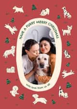 Personalised Christmas Photo Card created by Zove Ahh - Cute Christmas Card – Furry Merry Christmas