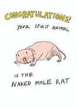 Funny Birthday Card - Naked Mole Rat created by Trashy Mags