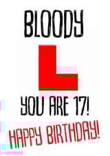 HAPPY 17TH BIRTHDAY LEARNER DRIVER created by Chasing Cards