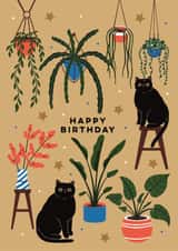 Arty Birthday Card - Cats - House Plants created by Eli the Goat