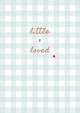 Classic New Baby Card - Little And Loved - Baby Boy created by Peony & Pangolin