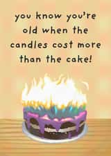 Funny Birthday Card – Too Many Candles Fire Hazard Joke created by Luca’s Cardz