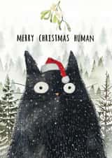 funny christmas card for those cat lovers in your life created by OurFriendsEclectic