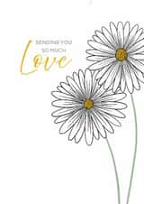 Classic Daisies Thinking of You Card for a Friend created by Lisa Swift Illustration