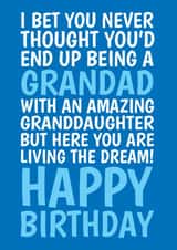 Funny Birthday Card For Grandad - From Granddaughter - Living The Dream created by @Cupsie's Creations