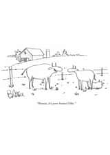 Funny Anniversary Card - It’s Your Brains I Like created by Punch Limited