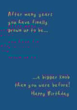 Birthday - funny - cheeky created by The Boy and the Bear