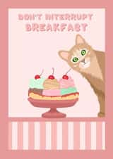 Cute Birthday Card - Cat - Don't Interrupt Breakfast - crazy cat lady created by Suzanne Taktak