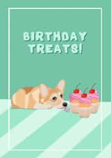 Cute Birthday Card - Birthday Treats! - Dog - corgi card - naughty puppy created by Suzanne Taktak
