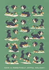 Sweater paws created by Sabrin Deirani