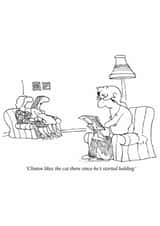 Funny Birthday/Father's Day Card - Balding - Cat created by Punch Limited