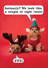 Funny Christmas Card - Dogs - We Look Like A Couple Of Right Twats! created by Brainbox Candy