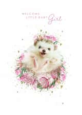 Cute New Baby Card - Hedgehog - Baby Girl created by Lola Design