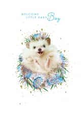 Cute New Baby Card - Hedgehog - Baby Boy created by Lola Design